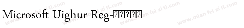 Microsoft Uighur Reg字体转换